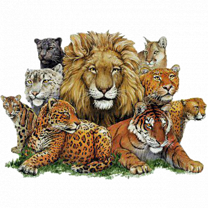 Домашний текстиль с кошками