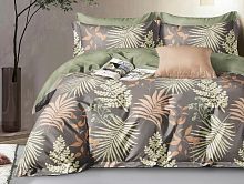 фото кпб tango tpig3-1938 евро 2 наволочки 50*70 из ткани Сатин 