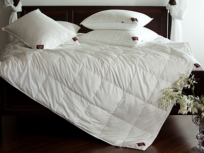 Non-Allergenic Premium Grass